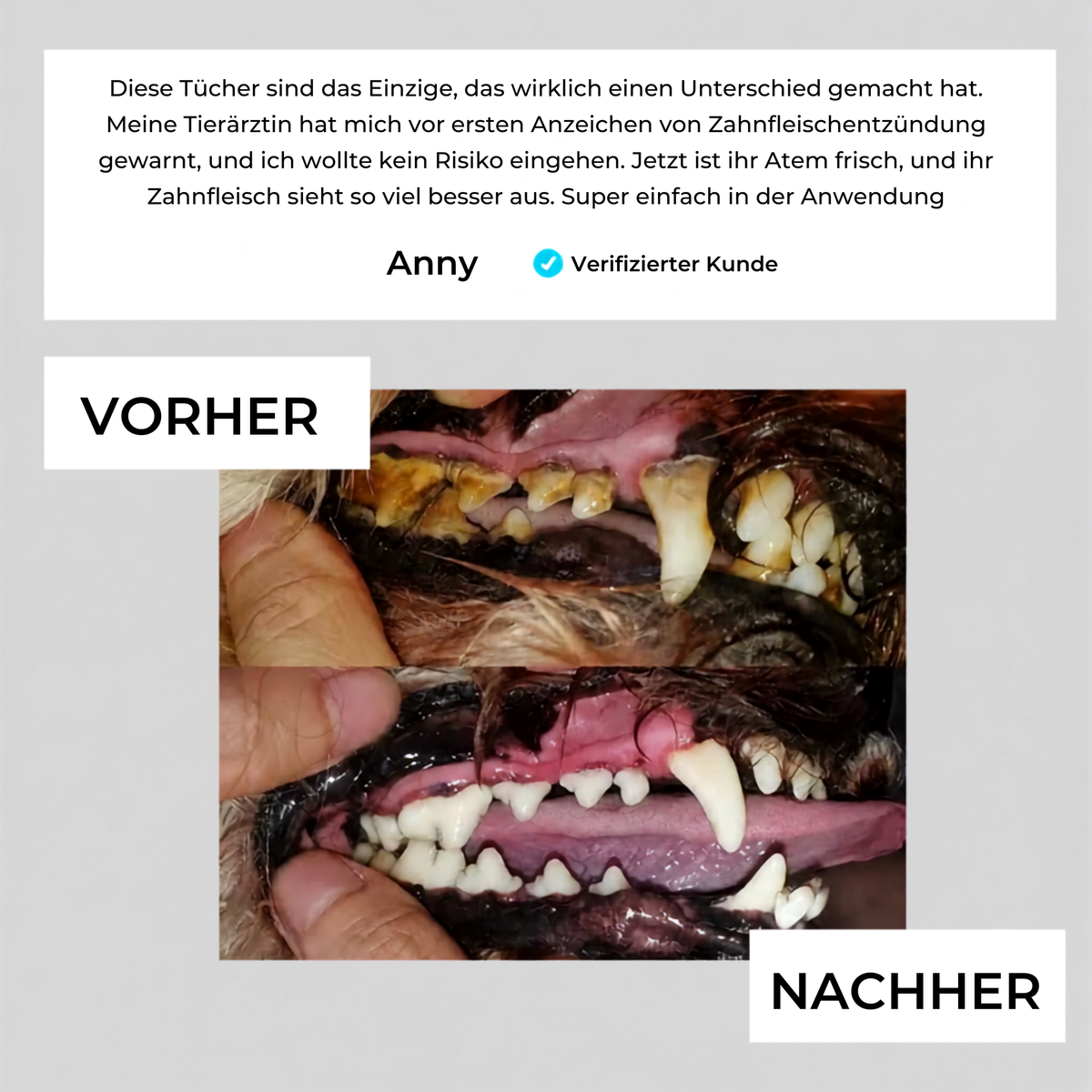Plaly- Zahnpflege Finger- Wischtücher für Haustiere
