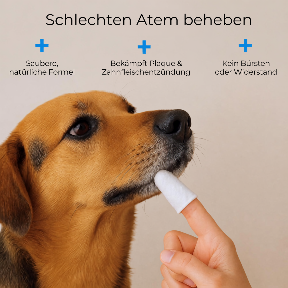 Plaly- Zahnpflege Finger- Wischtücher für Haustiere